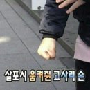 스시만카이 이미지