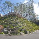 환상의바다리조트A동 이미지