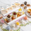 대미케이크(DAMMICAKE)