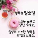 한들로 이미지