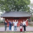 기지시 메타세콰이아 이미지