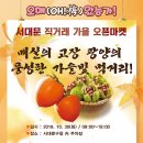 광양매실한과