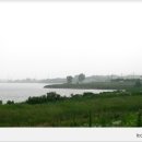 253-1-000002 Daum카페