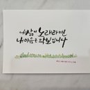 한국캘리그라피디자인센터 이미지