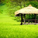 한가로이 이미지