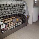 사비켄넬 | [애견 방문 훈련] 짖음 방문훈련 후기