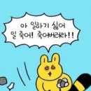 코피티암 이미지