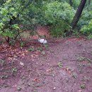 난곡입구 이미지