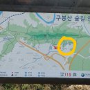 대전숲어린이집 이미지