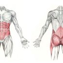 엔필라테스 이미지