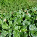 마현농장 이미지