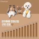 애견시대 이미지