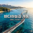 :♣:9월06일(일)고성 송지호 바다하늘길 죽도 스카이워크 ,낙산사 경유 이미지