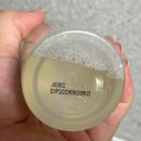 지노디자인광고기획 | 지노큐어 여성청결제 향 5종 출시! 취향대로 골라 쓰는 데일리템 솔직 후기