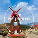 강릉 안반데기 관광농원 차박 / 별 보러 가기 좋은 곳 차박후기