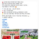 다나딸기농장2