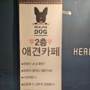 그린독 | [동성로 애견카페 힐링독] 사랑스런 상주견이 많은 대구 애견카페 이용후기