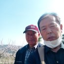 호산농원 이미지