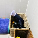 니니스테이 이미지