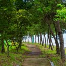 회천생태공원 이미지