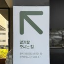 망개당 | 수원떡집 망개랑 광교본점 부모님인사선물 망개떡 후기