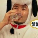 대패생각 이미지