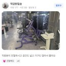 [개금 가야 부암 주례 오케이피트니스 동의대점 내부 투어] 헬린이도, 운동초보도 편하게 시작 할 수...