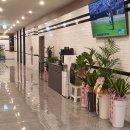 제이스크린골프 이미지