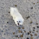 카페빈스 이미지