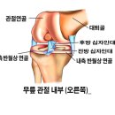 김정수여러분병원 이미지