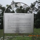 광덕3로7 Daum카페