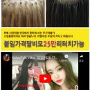 칼단발붙임머리 천연모25만 칼단발붙임머리전문샵 금정붙임머리
