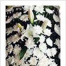 봉암동292 이미지