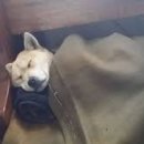 끼리끼리 이미지