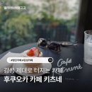 쉼빌딩 | 후쿠오카 원 빌딩 카페 키츠네 후기 위치 메뉴 분위기 총정리