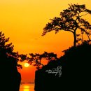 장보고싶은마트 이미지