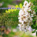 [영상 음악] Le Premier Pas (첫 발자국)/Spanish Guitara &amp; photo by 모모수계 이미지