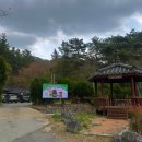 멍멍이와 숲속에서 이미지