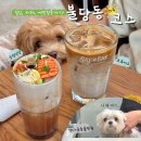 정다운동물병원 | 쪼꼬, 꼬미와 천안 일상🐾 점심, 카페, 강아지 예방접종까지!