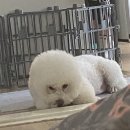 명광행정사무소 이미지