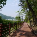 금강 자전거길 이미지