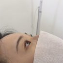 더제이짐 | [잠실] 더제이래쉬 속눈썹펌 후기