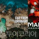 호남센터-58 이미지