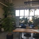 행복세차장 이미지