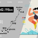 2024 안동마라톤대회 이미지