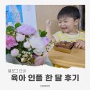 1606 | 육아인플루언서 한 달 후기, 팬 1606명과 최고 순위 369위까지