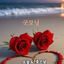 명심보감 6편 이미지