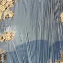 남화농장 이미지