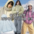 에이이 | 경량패딩 추천 [코이세이오, 썬러브, 페더다운, 스키즘인듀싱, 에이이 에이이 AEAE]
