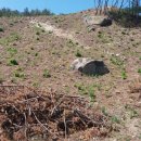 음지농장 이미지